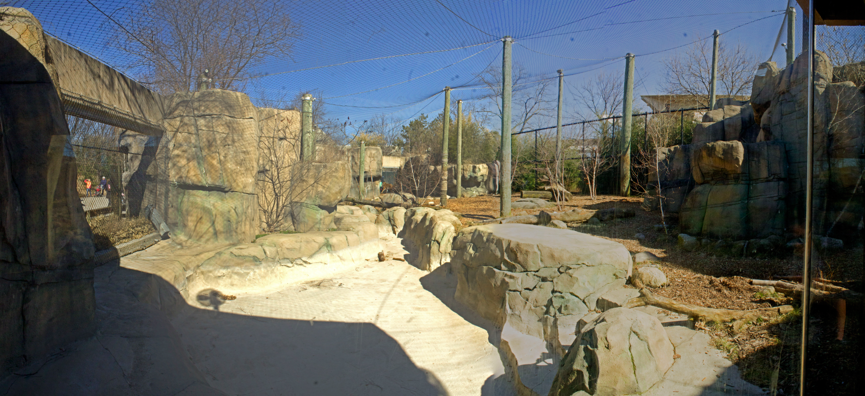 Feb. 2017 - Forests - Amur Tiger Exhibit Panorama