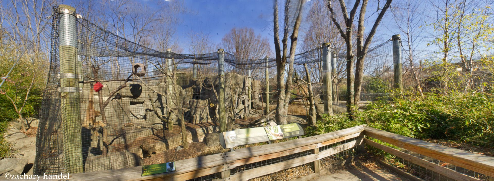 Feb. 2017 - Forests - White-handed Gibbon Exhibit