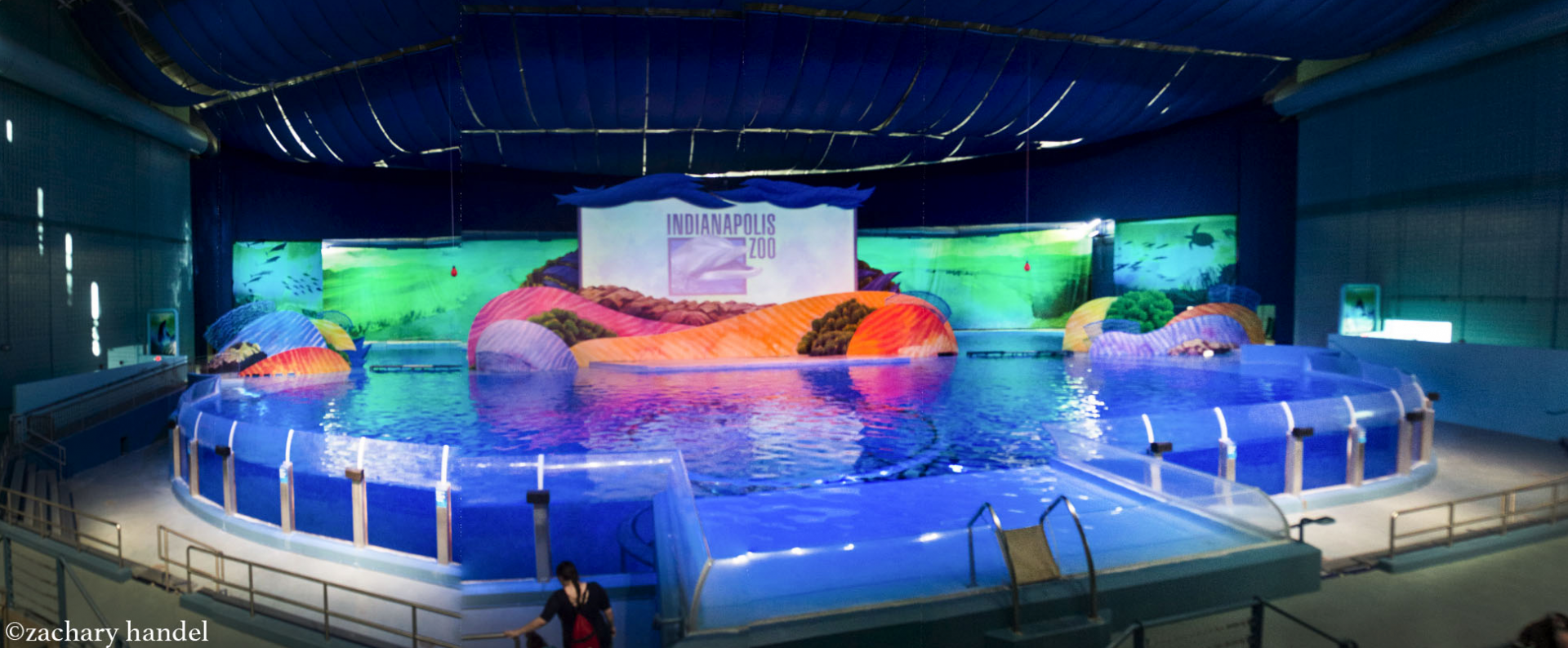 Feb. 2017 - Marine Mammals - Dolphin Pavilion Panorama