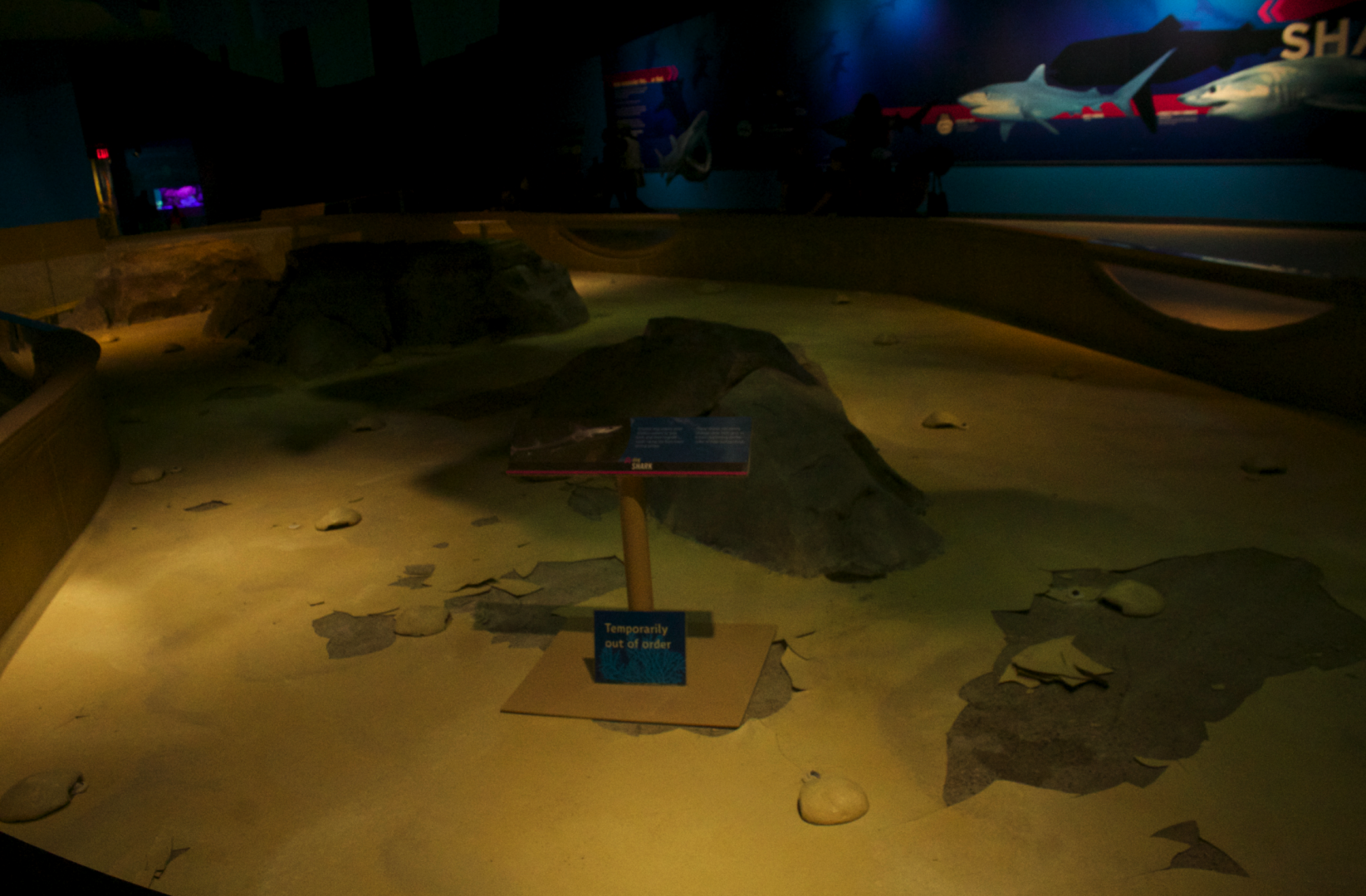 Feb. 2017 - Oceans - Smooth Dogfish Touch Tank (Emptied)