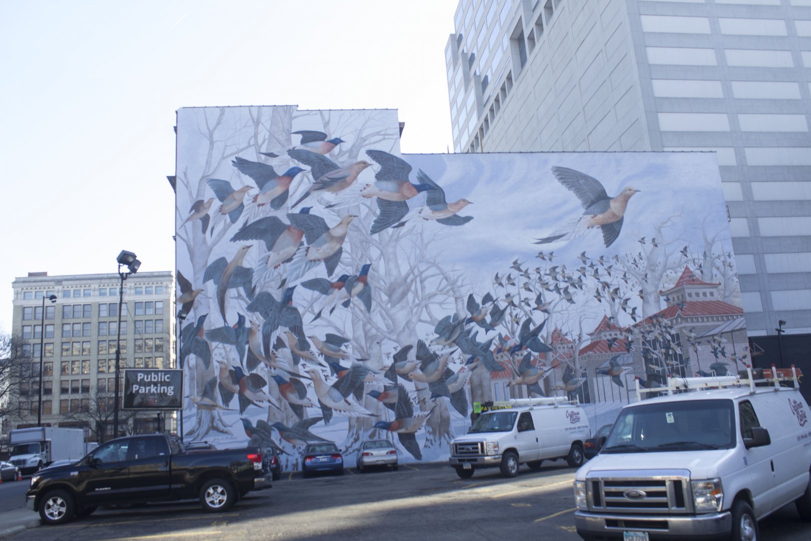 Feb. 2017 - Passenger Pigeon Memorial Mural on 7th Street