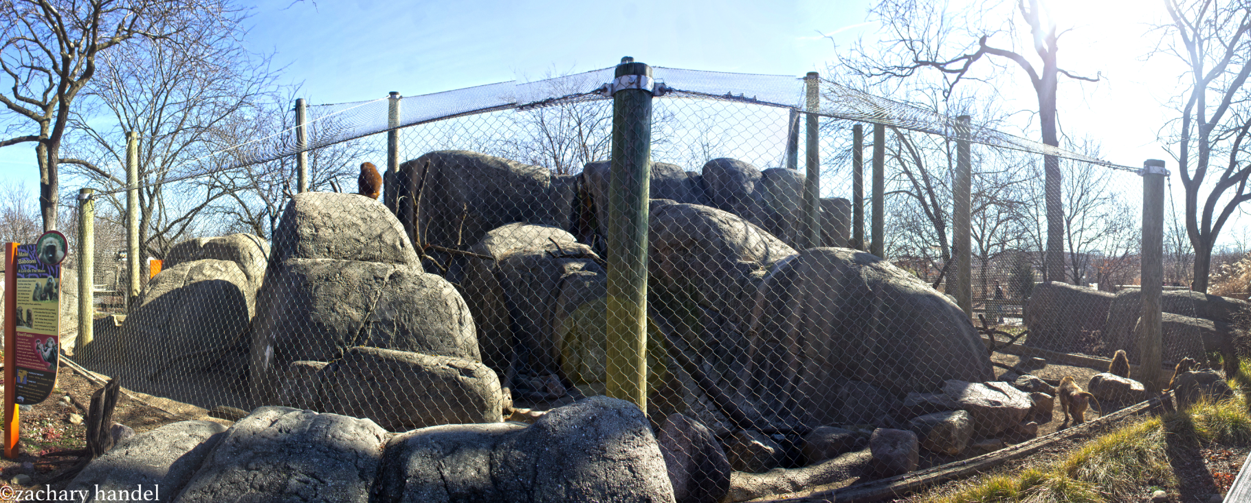 Feb. 2017 - Plains - Guinea Baboon Exhibit Panorama