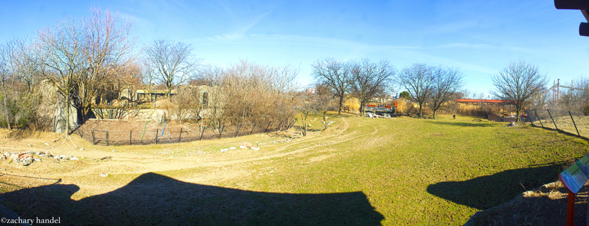 Feb. 2017 - Plains - Lion + Savanna Exhibit (6 Species) - Panorama