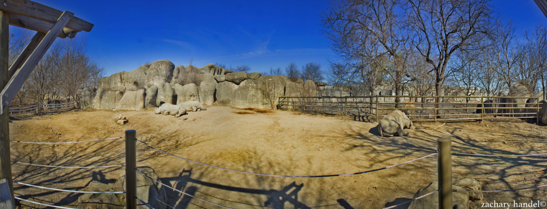 Feb. 2017 - Plains - Southern White Rhino Exhibit Panorama