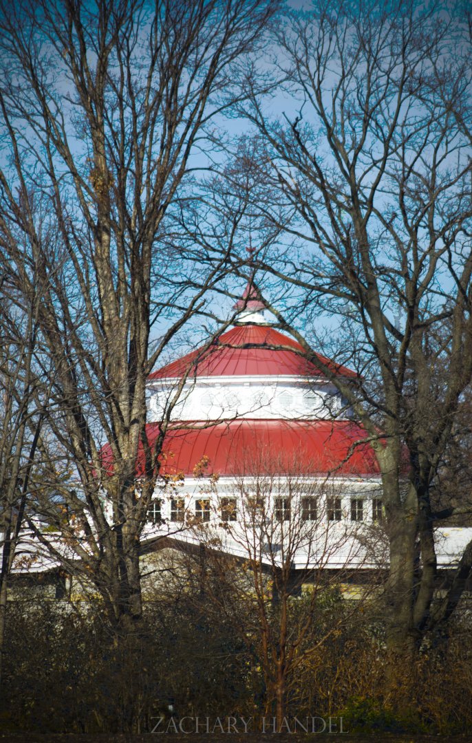 Feb. 2017 - Reptile House