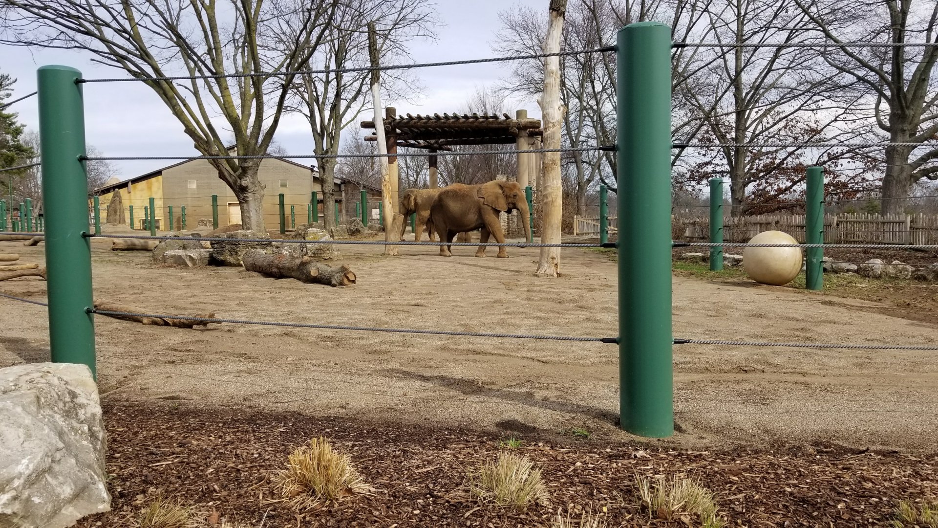 Feb. 2018 - African Savannah - Asian/African Elephant Exhibit (The Expanded Part)