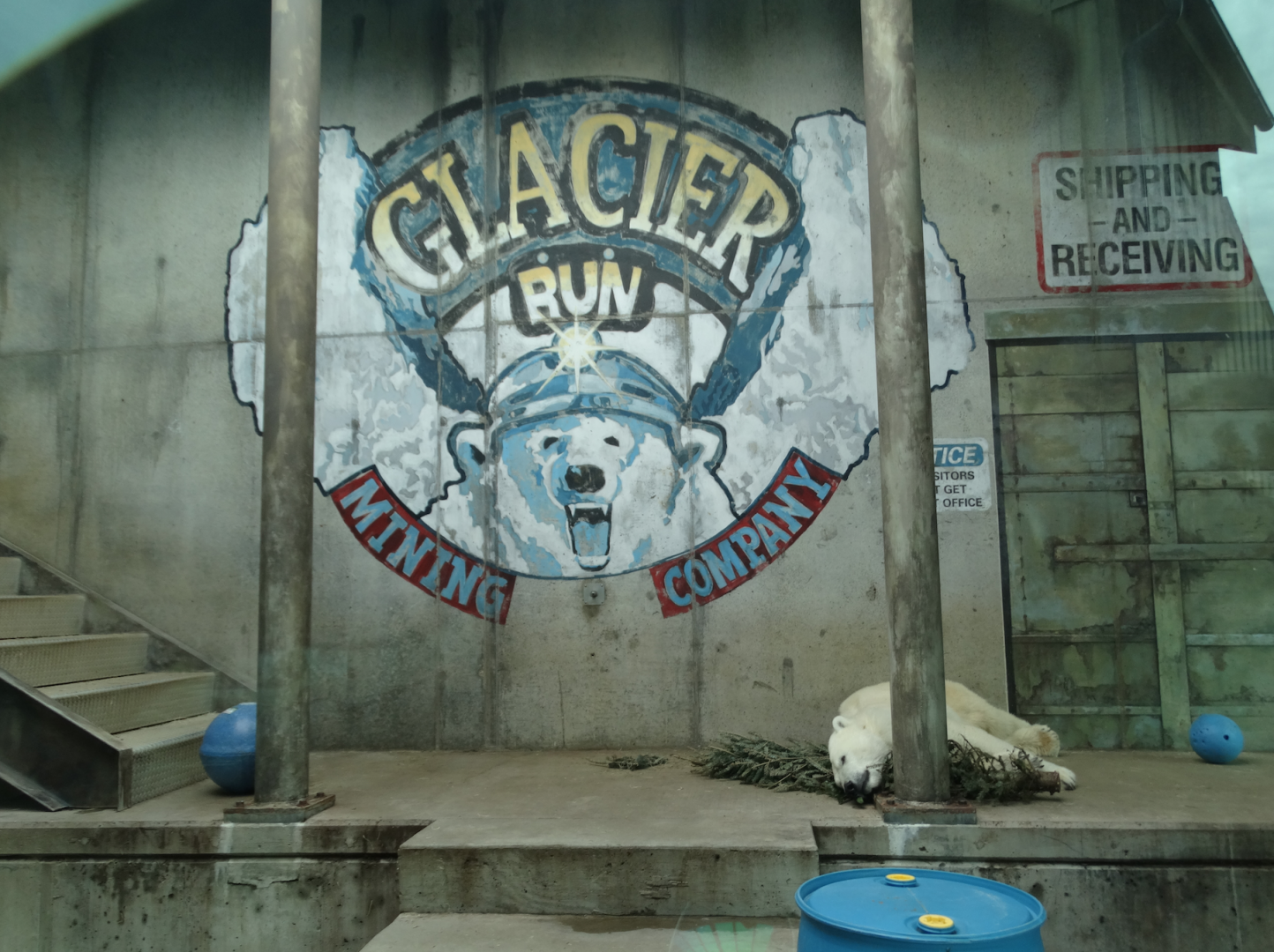 Feb. 2018 - Glacier Run - Rotational Bear Exhibit