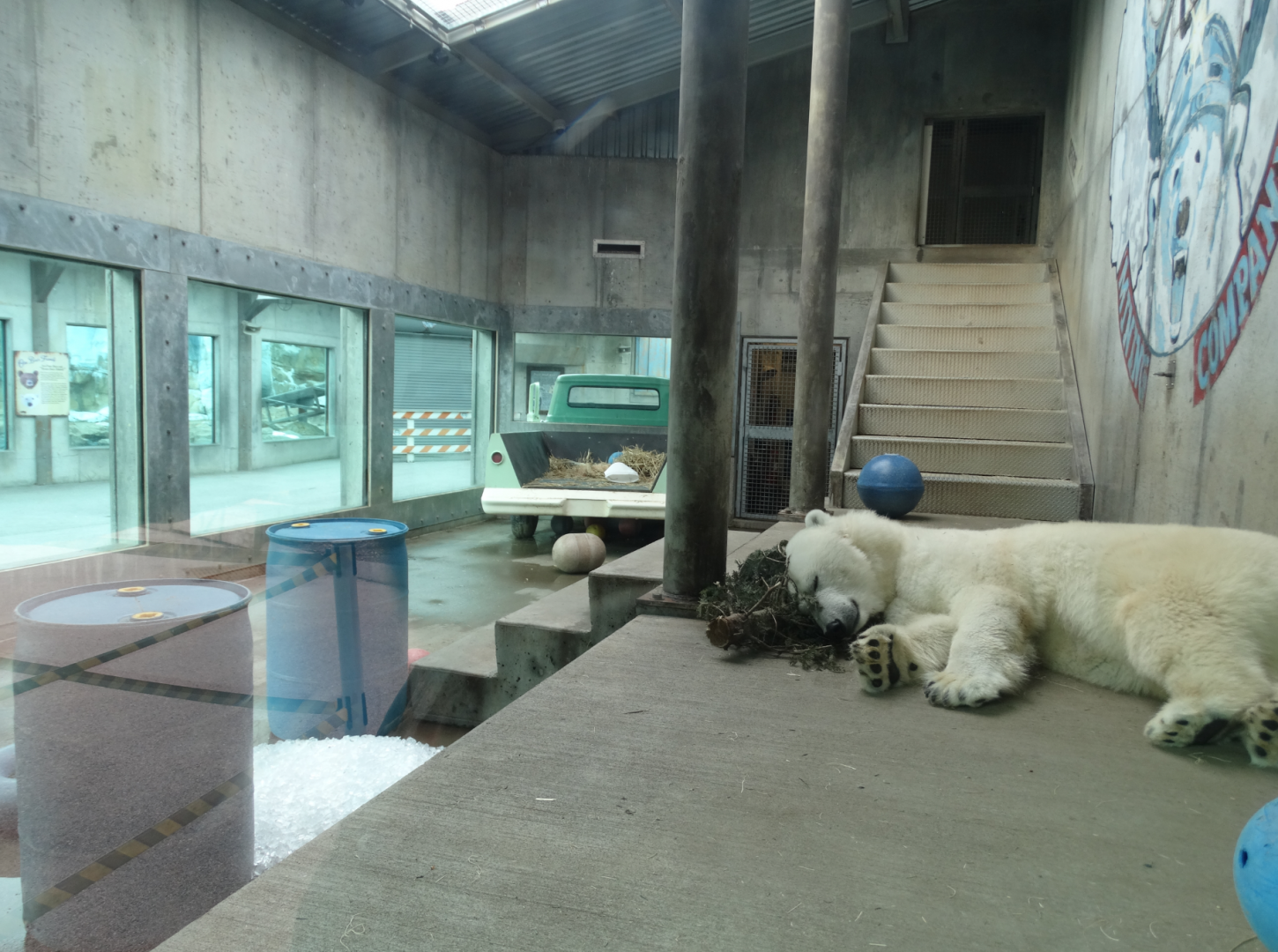 Feb. 2018 - Glacier Run - Rotational Bear Exhibit