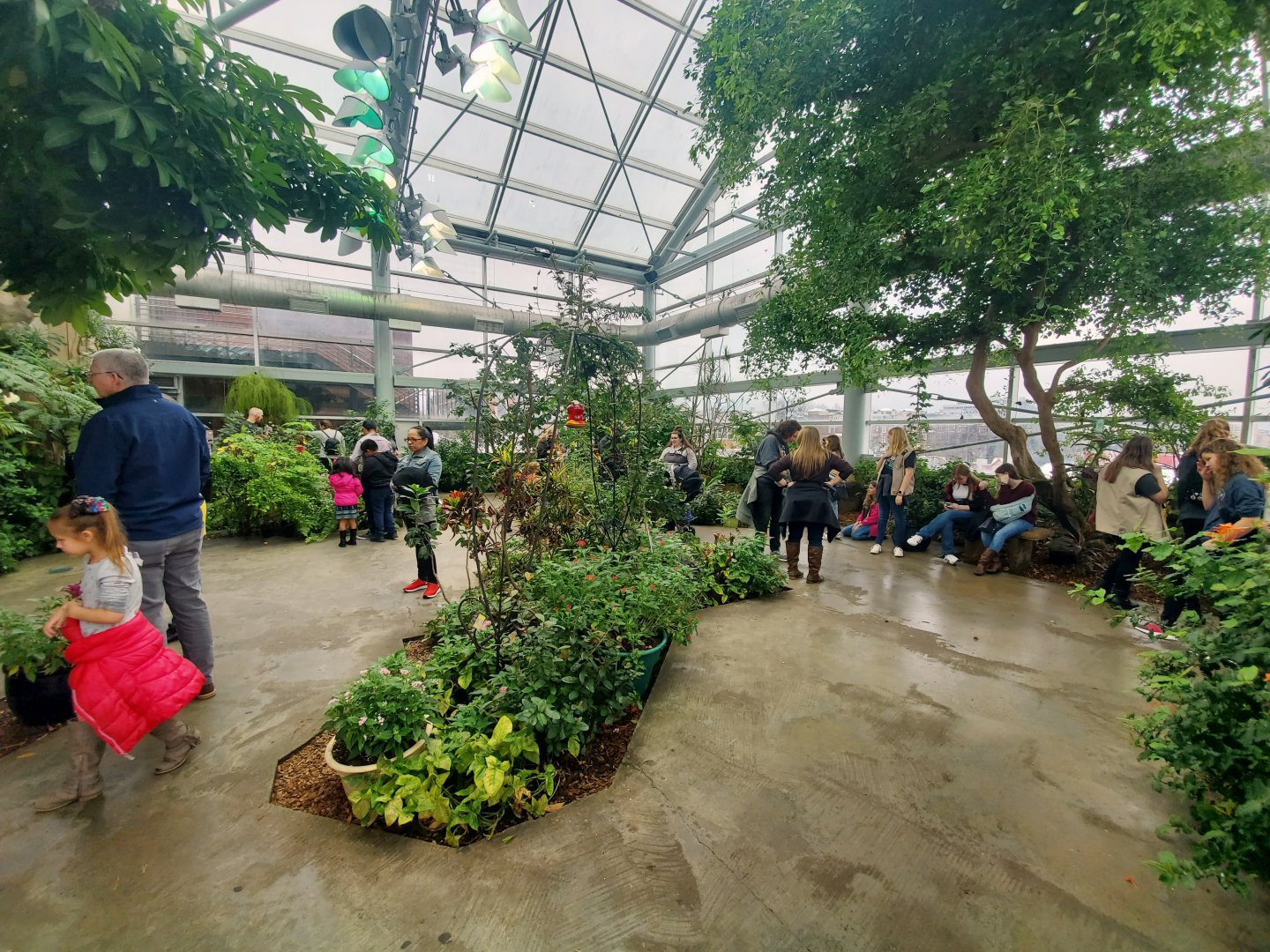 Feb. 2020 - The Ocean Journey - Butterfly Garden