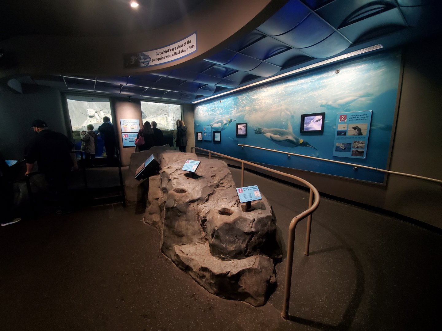 Feb. 2020 - The Ocean Journey - Penguins' Rock