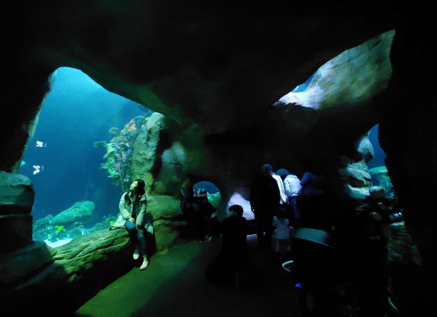 Feb. 2020 - The Ocean Journey - The Secret Reef (618,000 Gallons) - Undersea Caverns