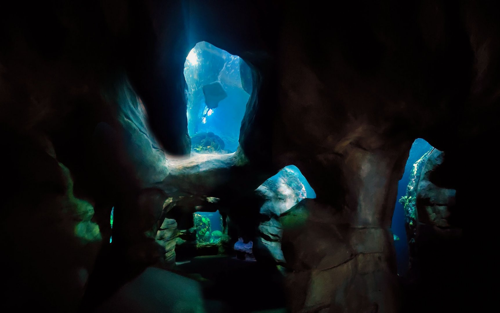 Feb. 2020 - The Ocean Journey - The Undersea Caverns