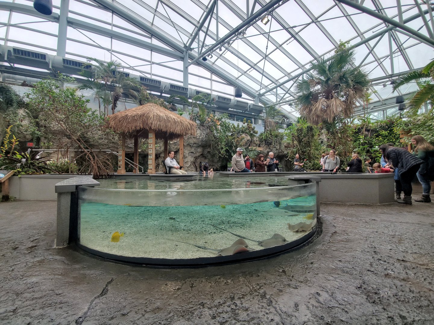 Feb. 2020 - The Ocean Journey - Tropical Cove - Stingray Bay