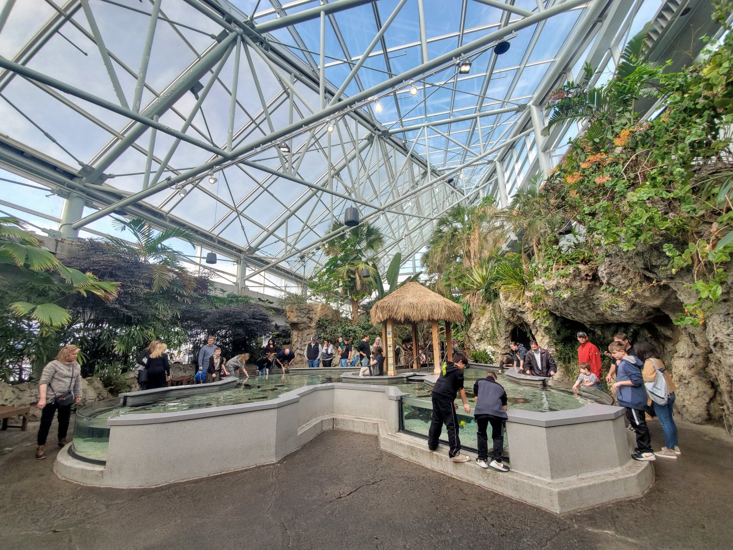 Feb. 2020 - The Ocean Journey - Tropical Cove - Stingray Bay