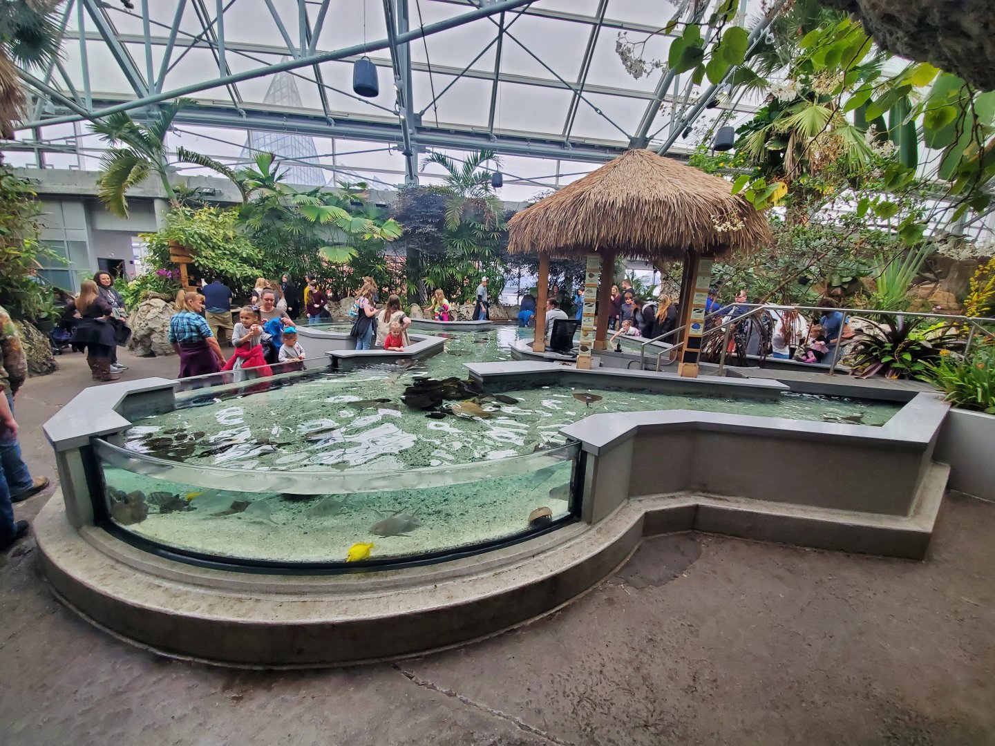 Feb. 2020 - The Ocean Journey - Tropical Cove - Stingray Bay