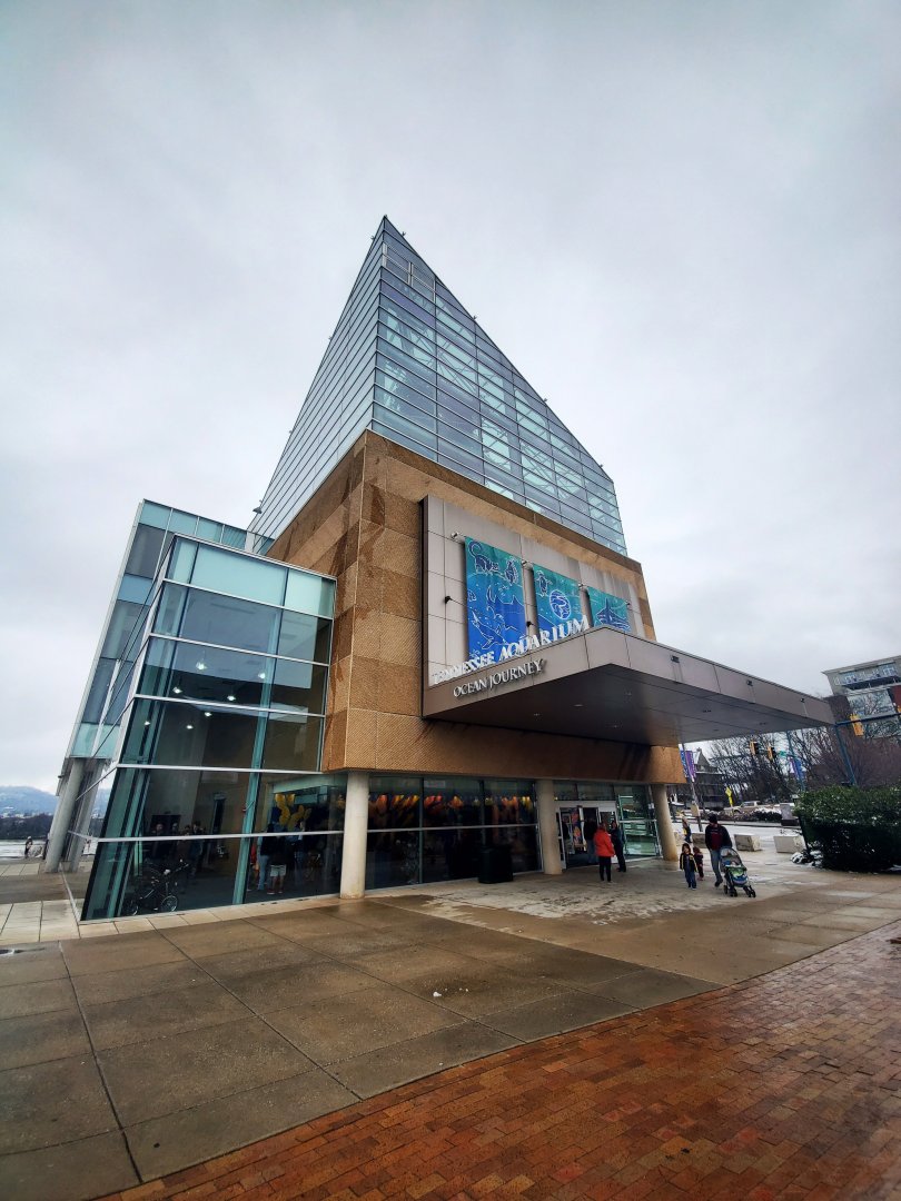 Feb. 2020 - The Ocean Journey