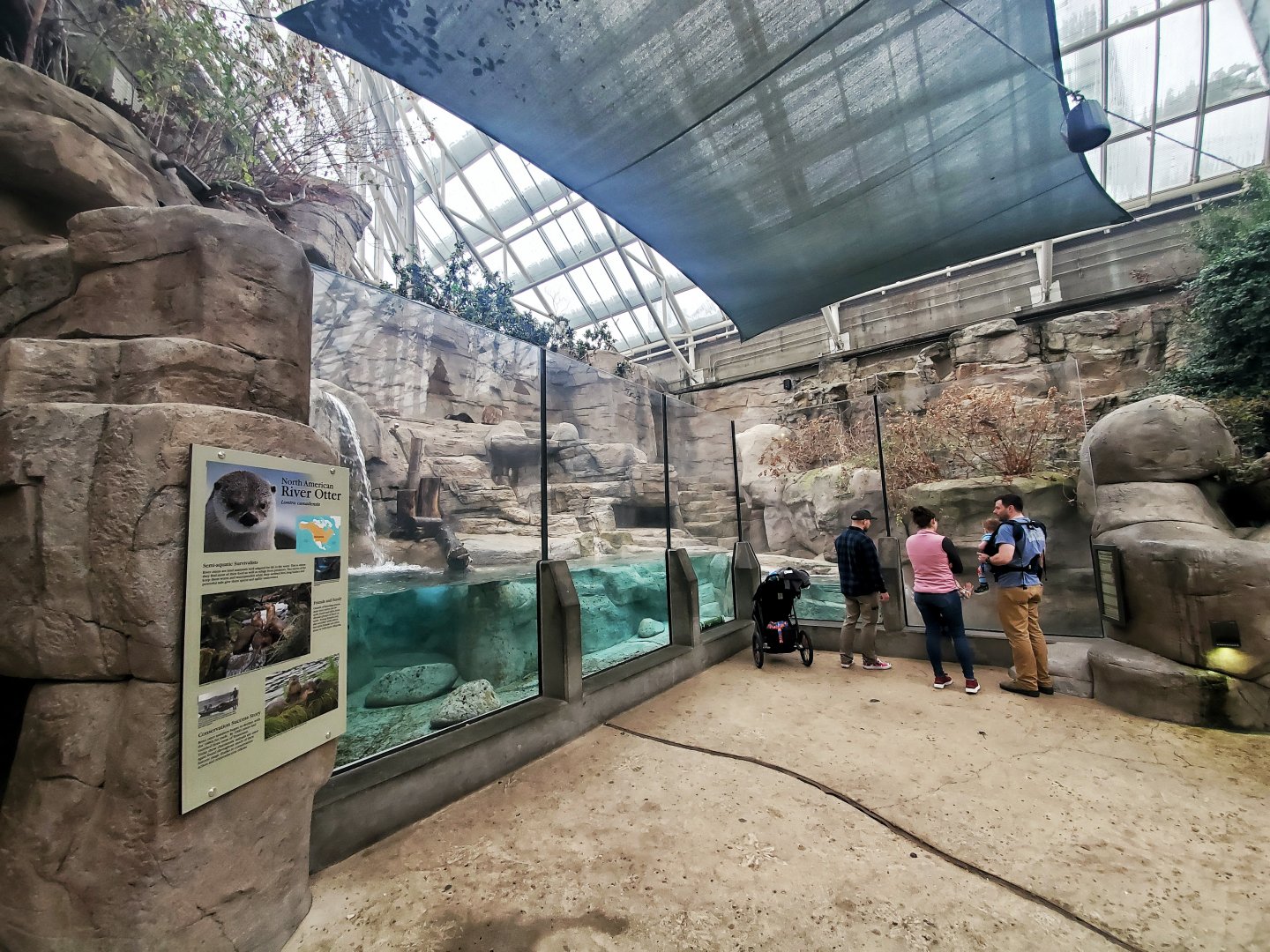 Feb. 2020 - The River Journey - Appalachian Cove Forest - River Otter Exhibit