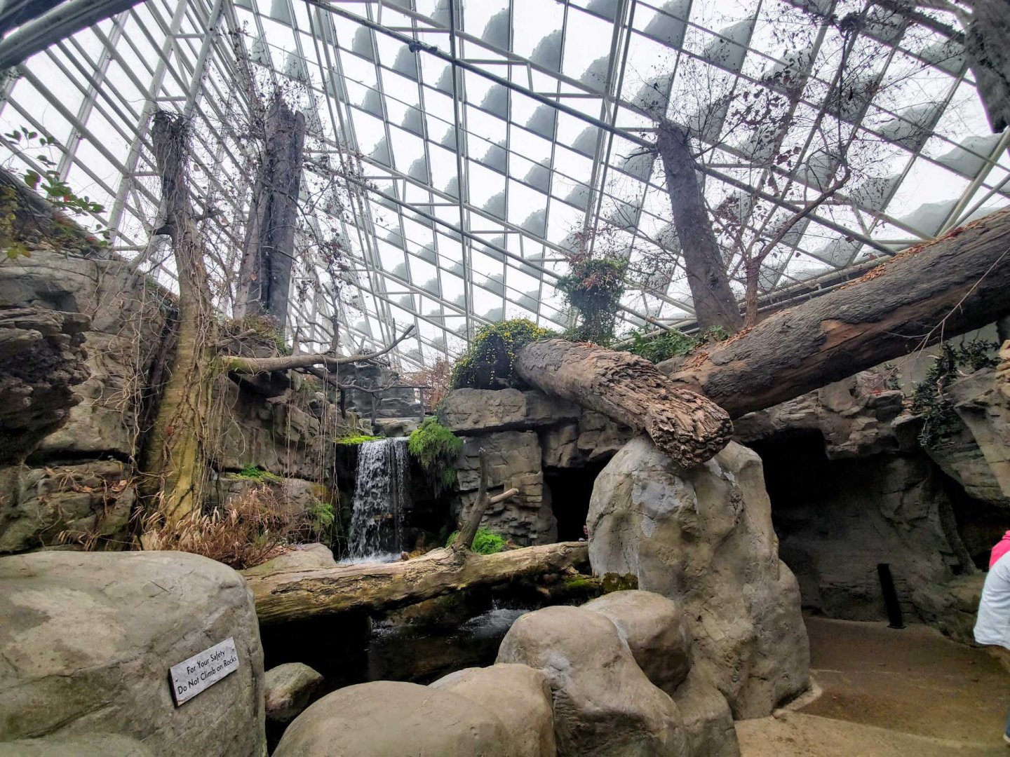 Feb. 2020 - The River Journey - Appalachian Cove Forest Scenery