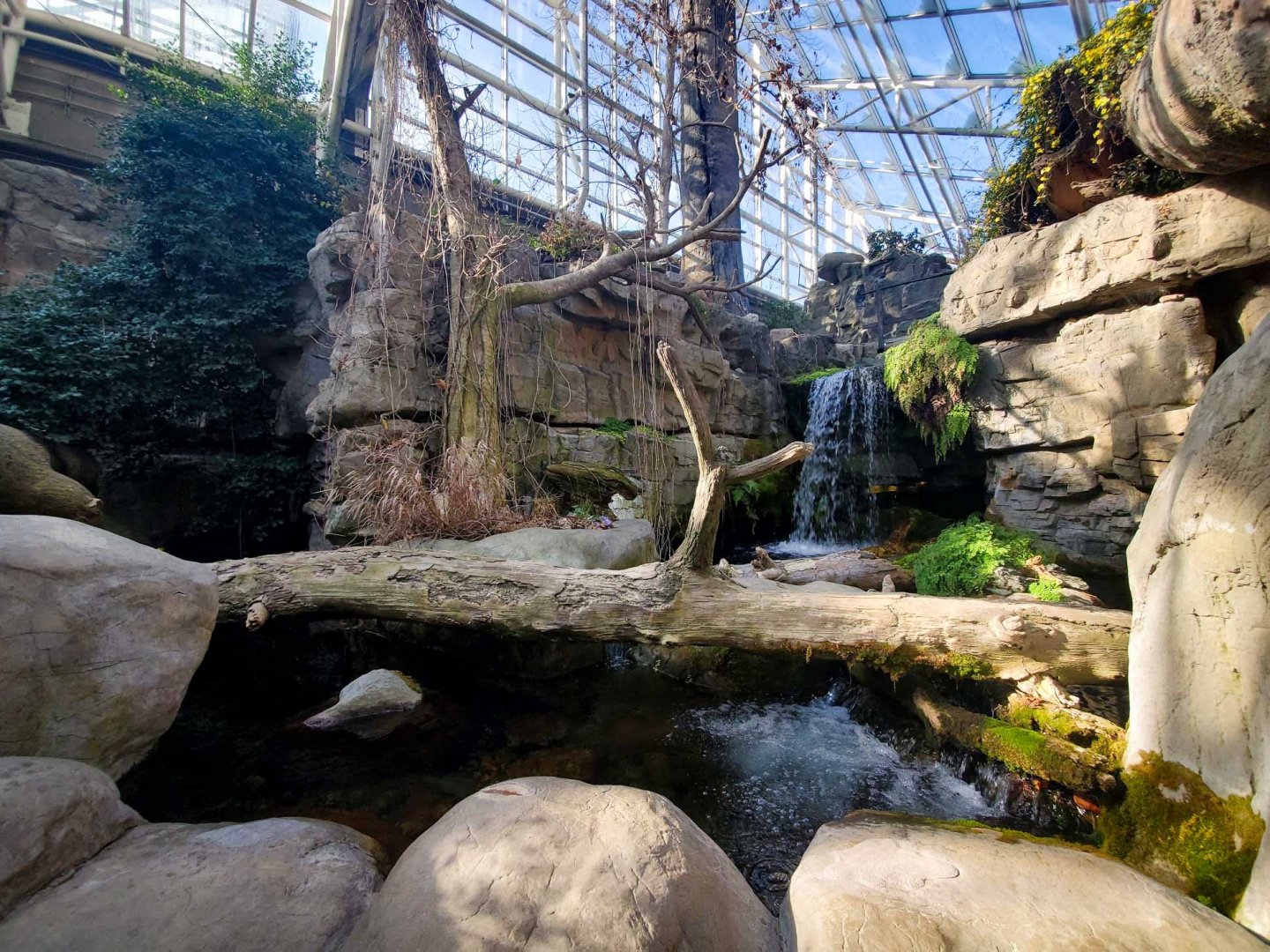 Feb. 2020 - The River Journey - Appalachian Cove Forest - Trout Tank