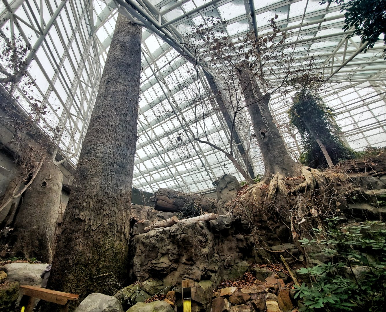 Feb. 2020 - The River Journey - Appalachian Cove Forest