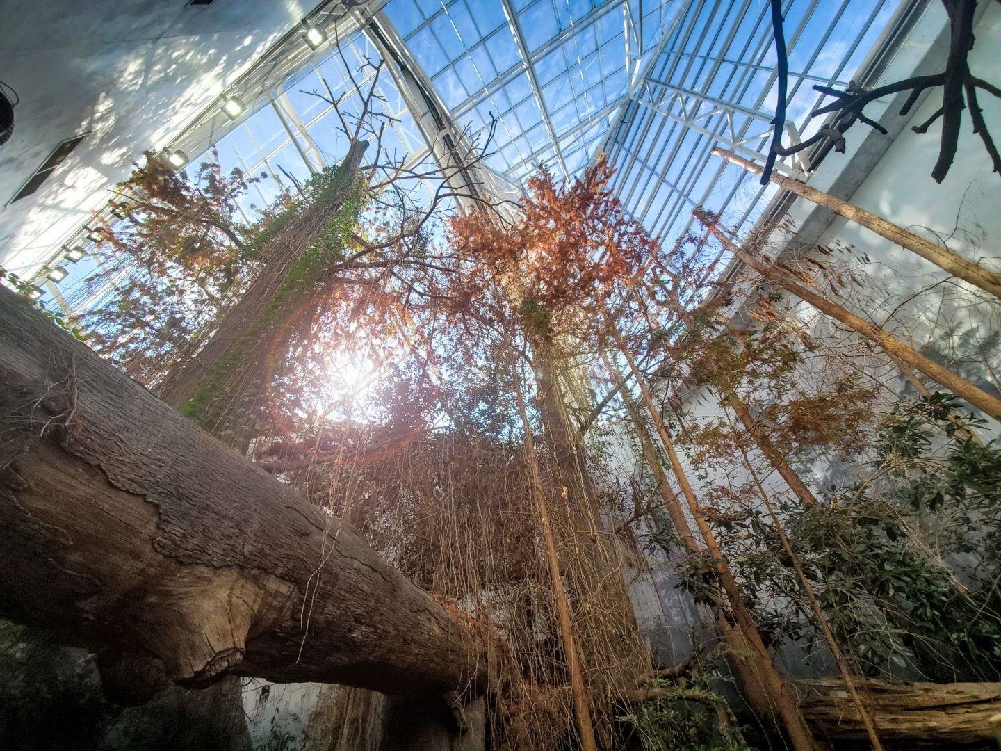 Feb. 2020 - The River Journey - Delta Country - Ceiling Equivalent to 10 Stories