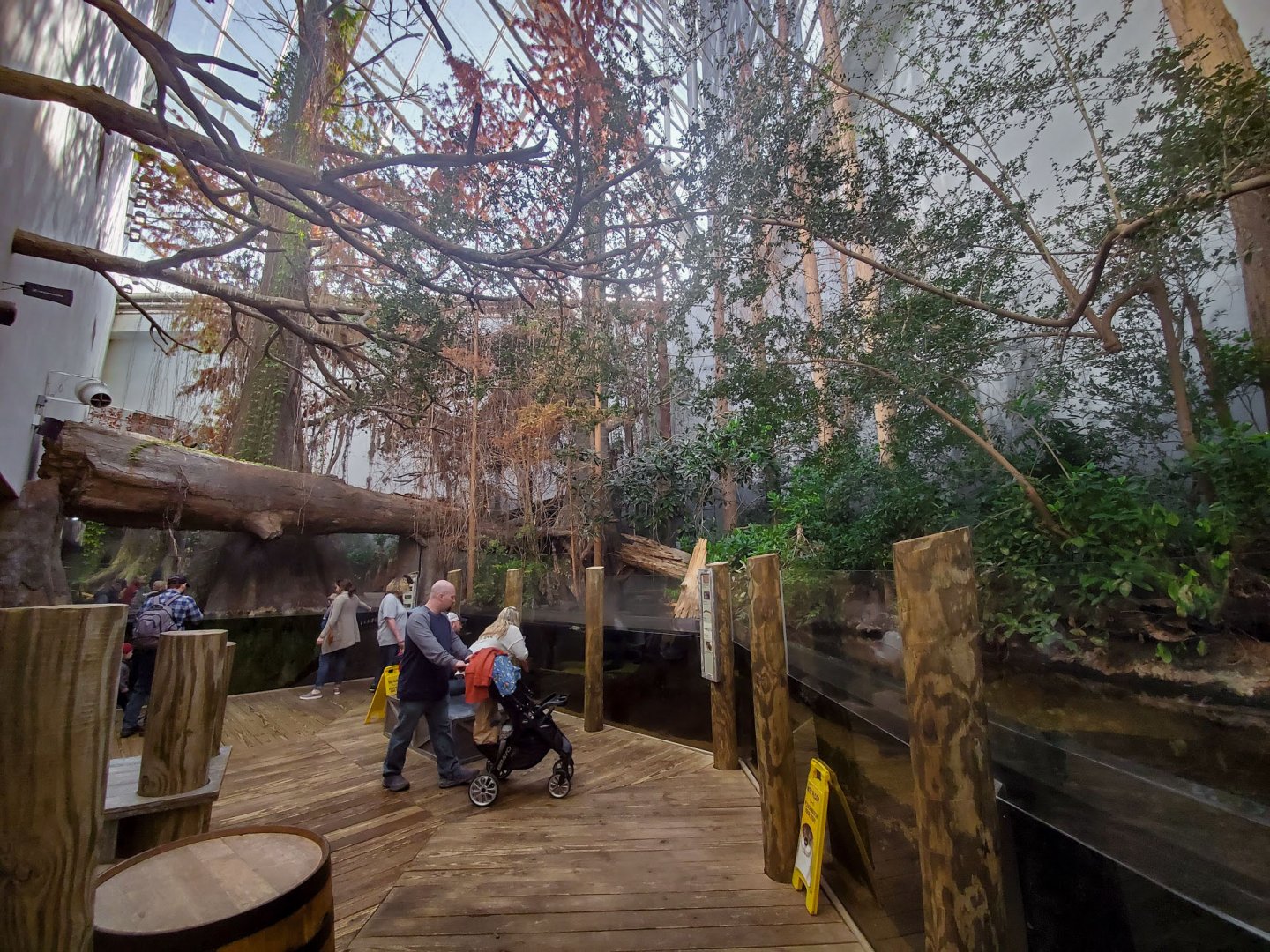 Feb. 2020 - The River Journey - Delta Country - Merganser + Wood Duck + Turtle Exhibit