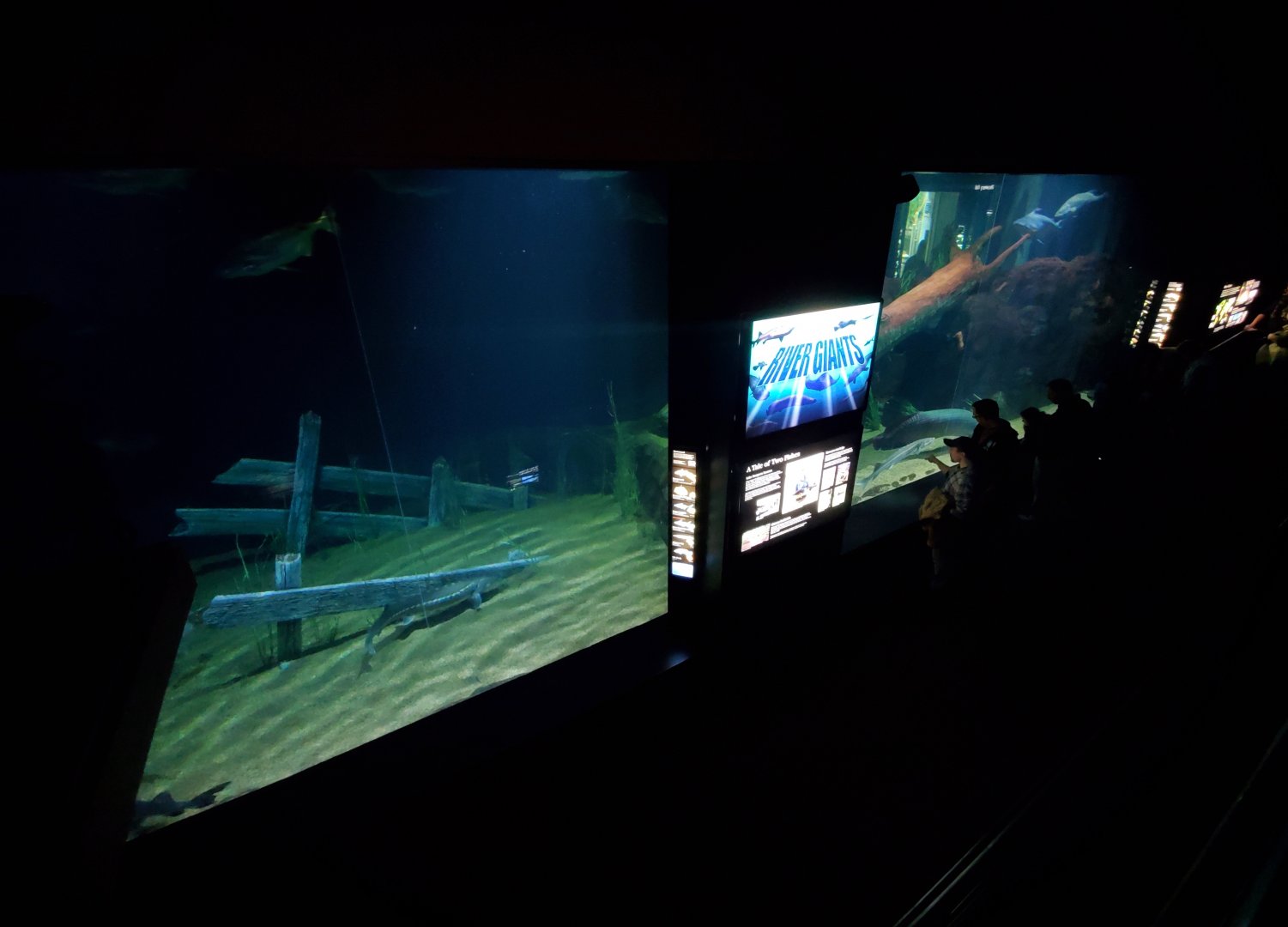 Feb. 2020 - The River Journey - River Giants