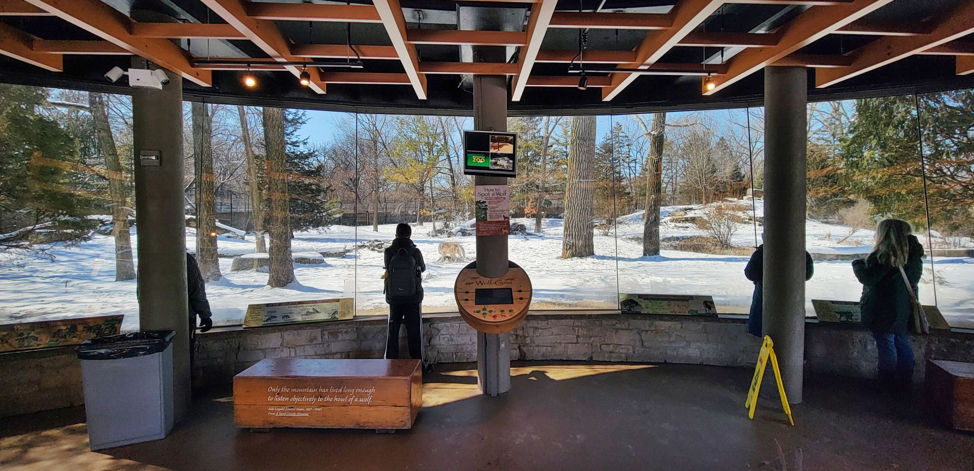 Feb. 2022 - Great Bear Wilderness - Mexican Wolf Viewing