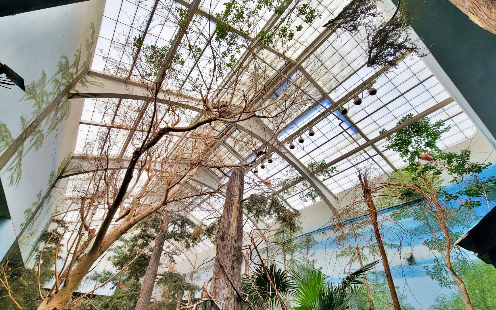 Feb. 2022 - The Swamp - Spoonbill + Others Exhibit