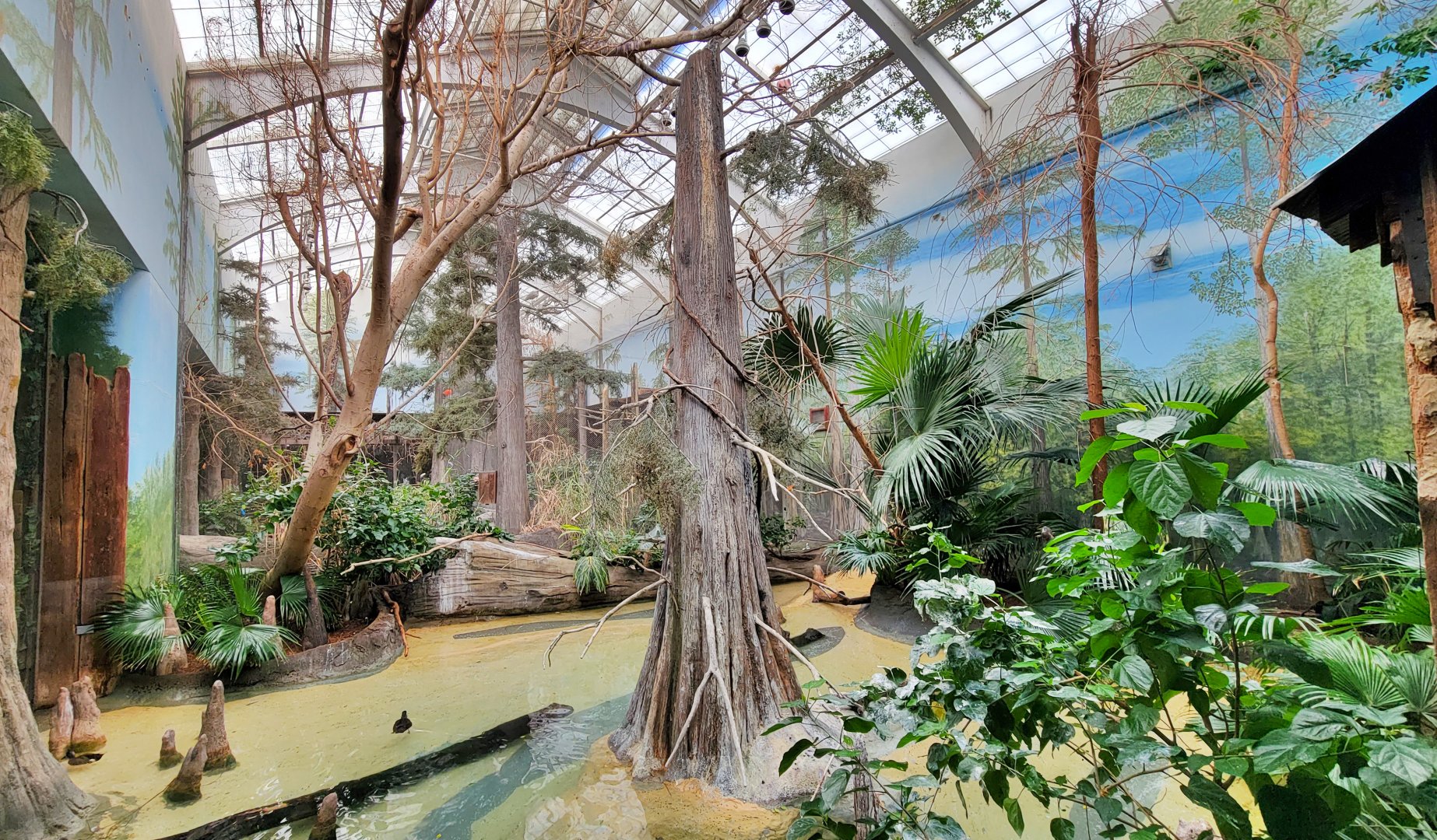 Feb. 2022 - The Swamp - Spoonbill + Others Exhibit