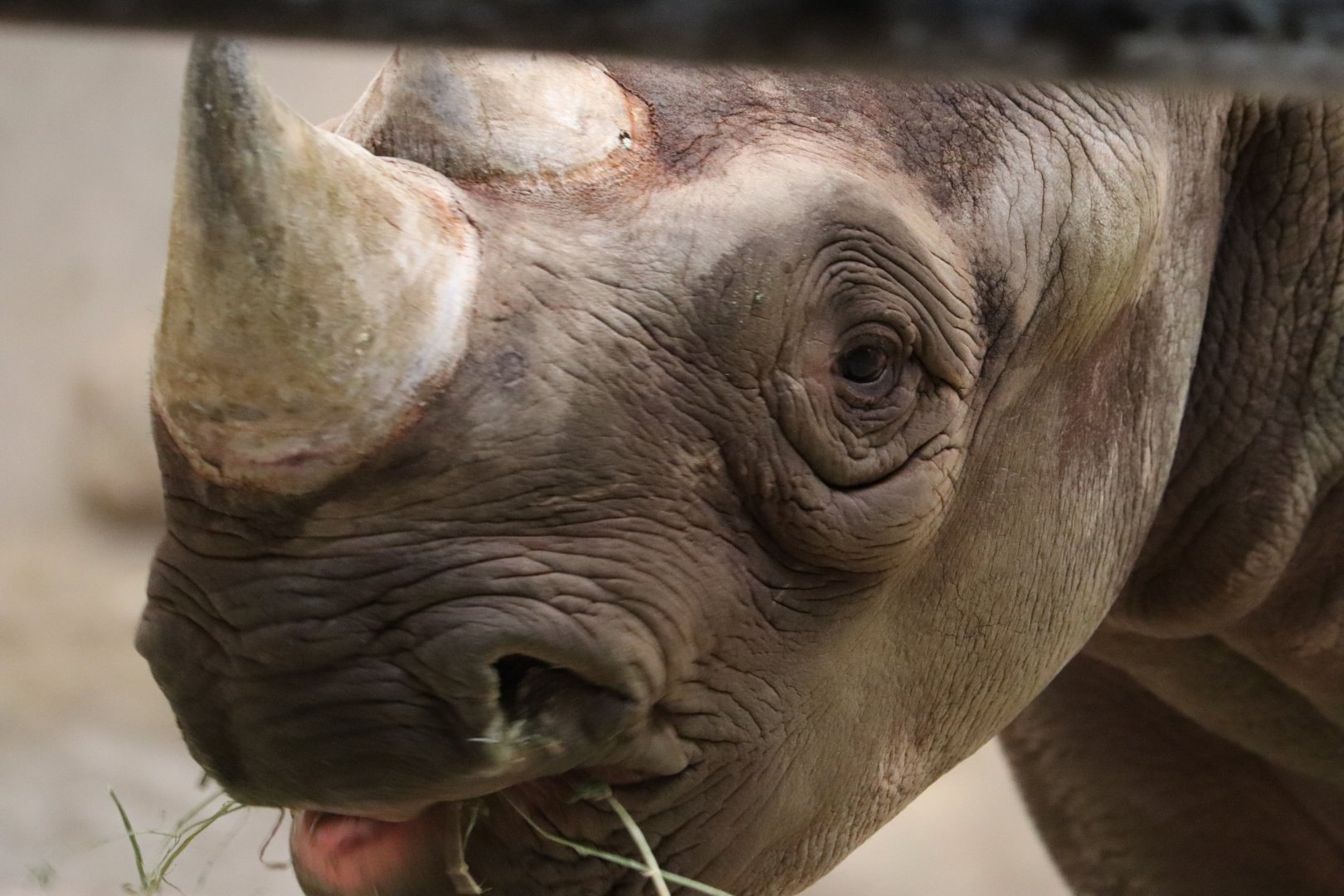 February 6th snow day