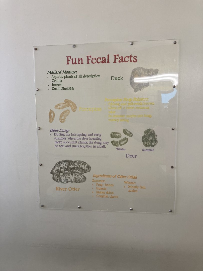 Fecal Facts (bathroom signage)