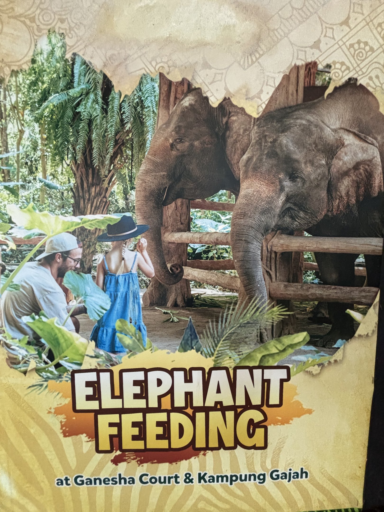 Feed an Elephant Sign