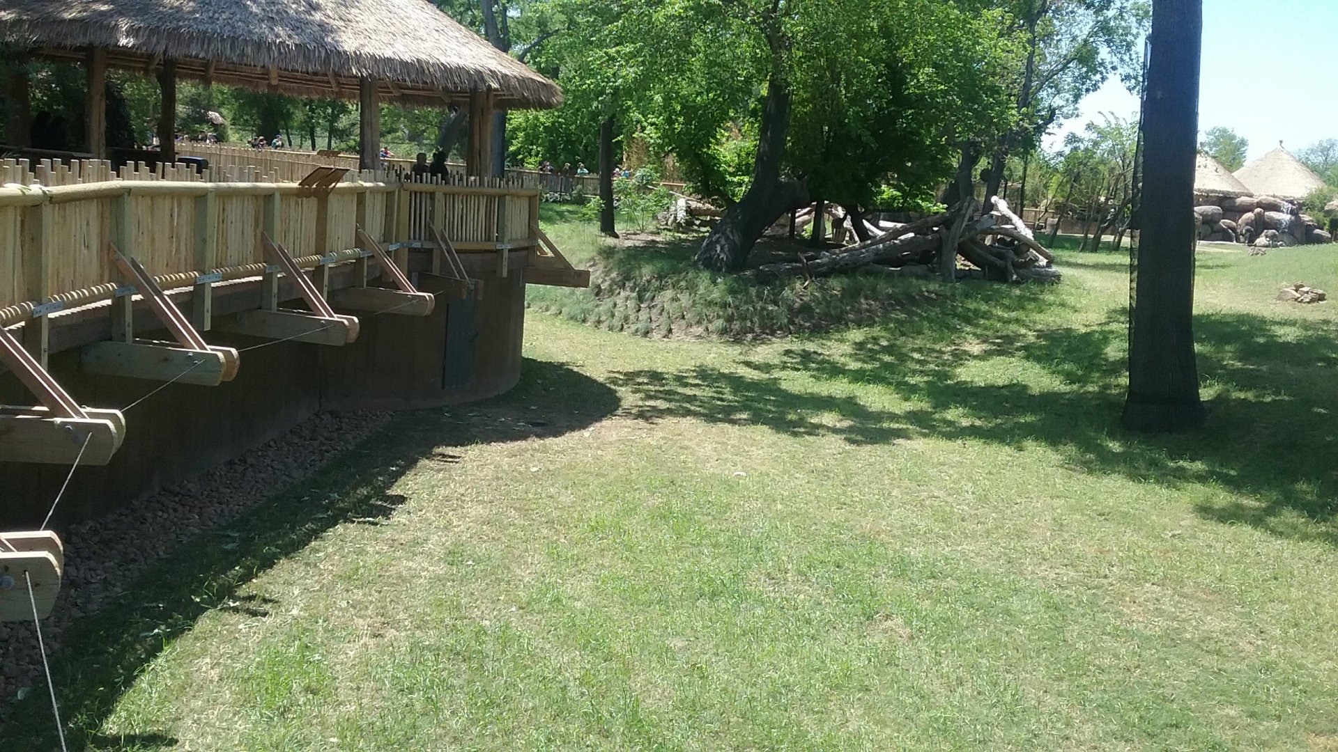 Feeding area and more