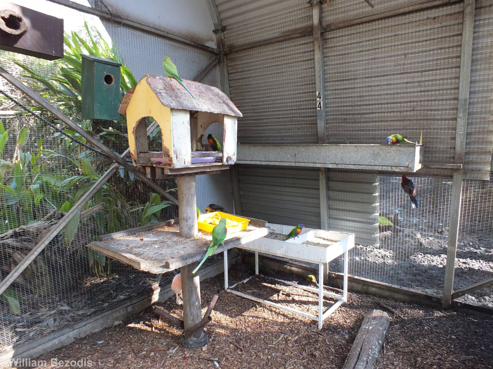 Feeding Area in Walkthrough Aviary