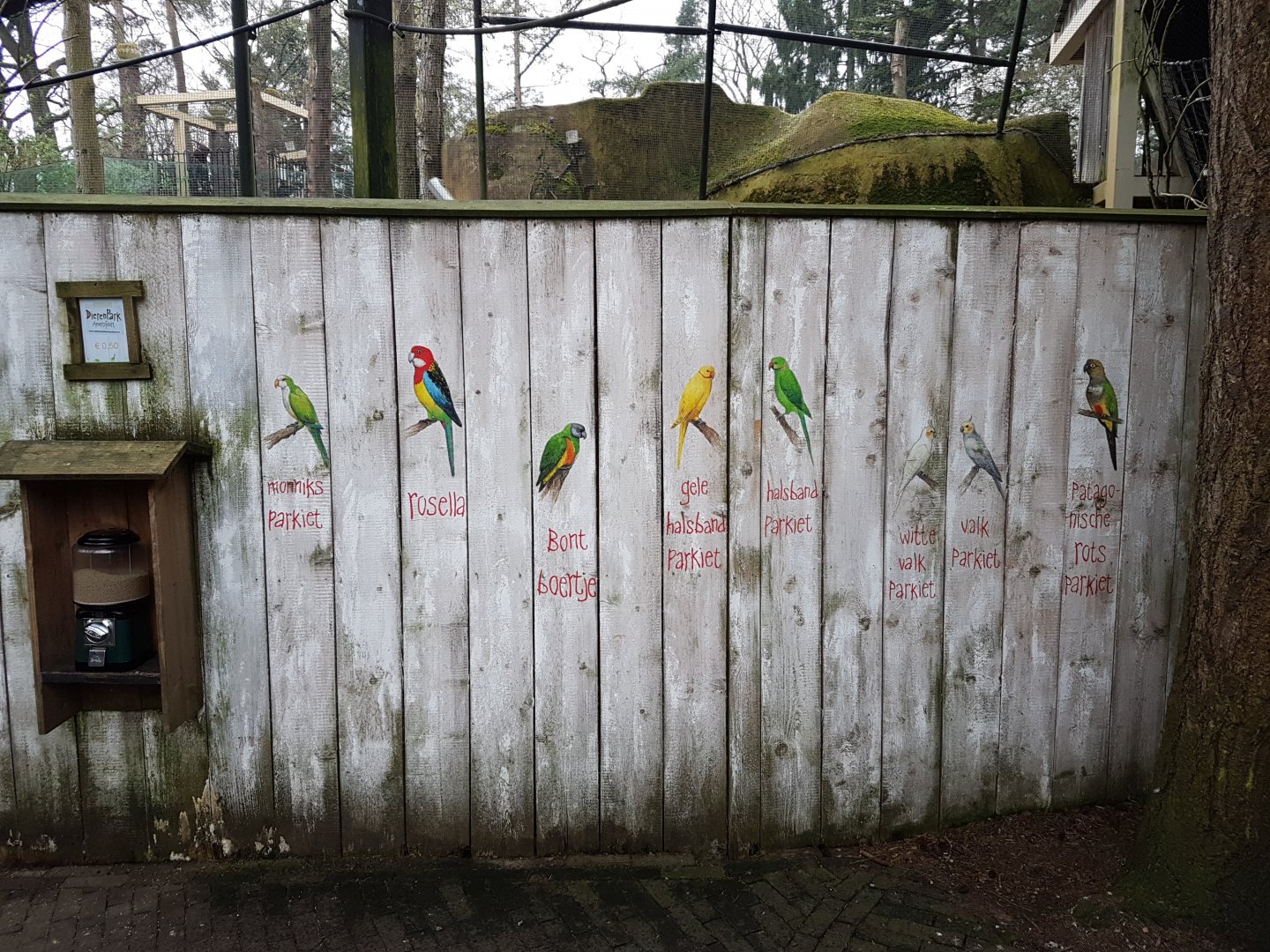 Feeding-automate and signs