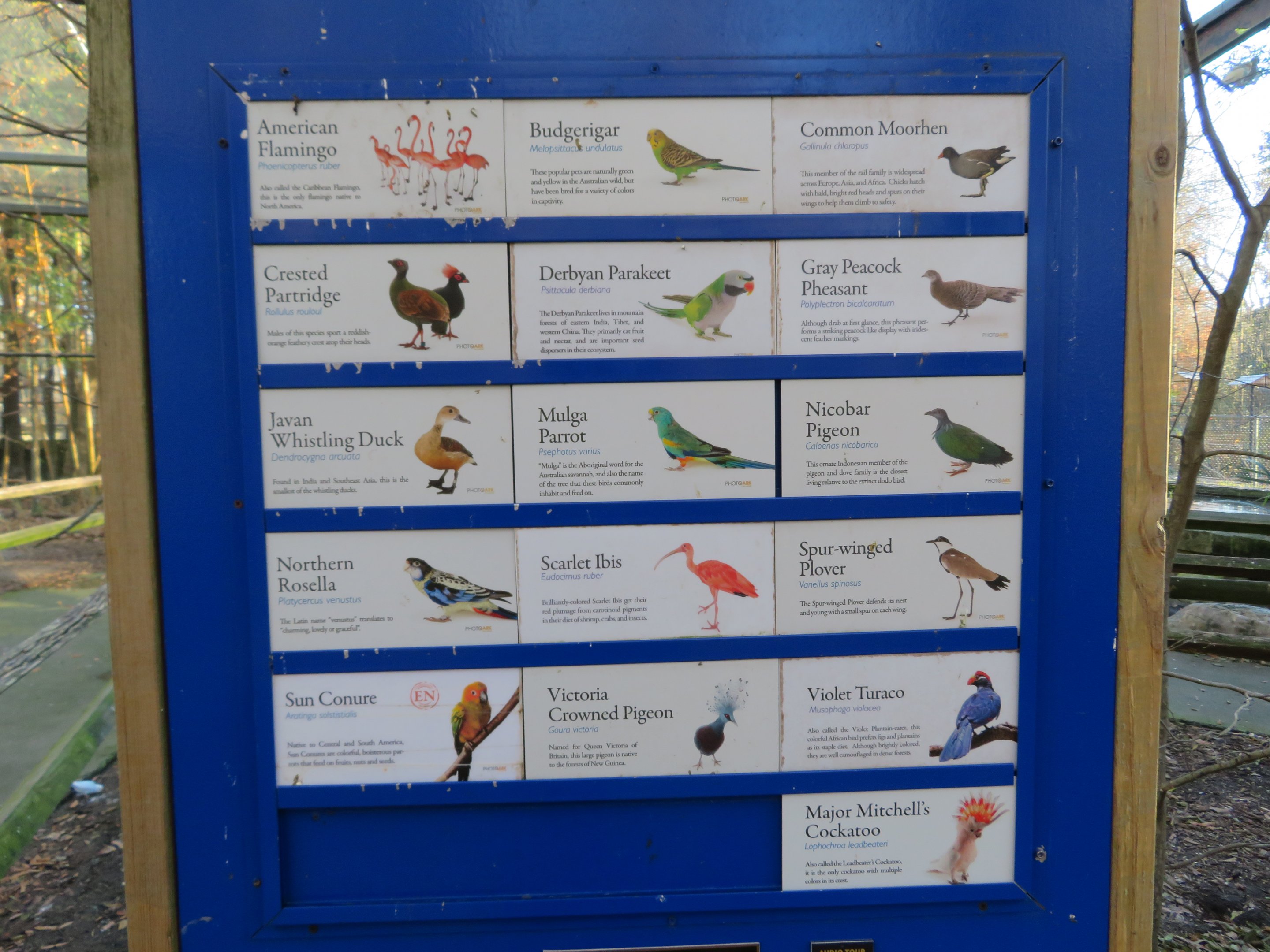 Feeding Aviary Signage