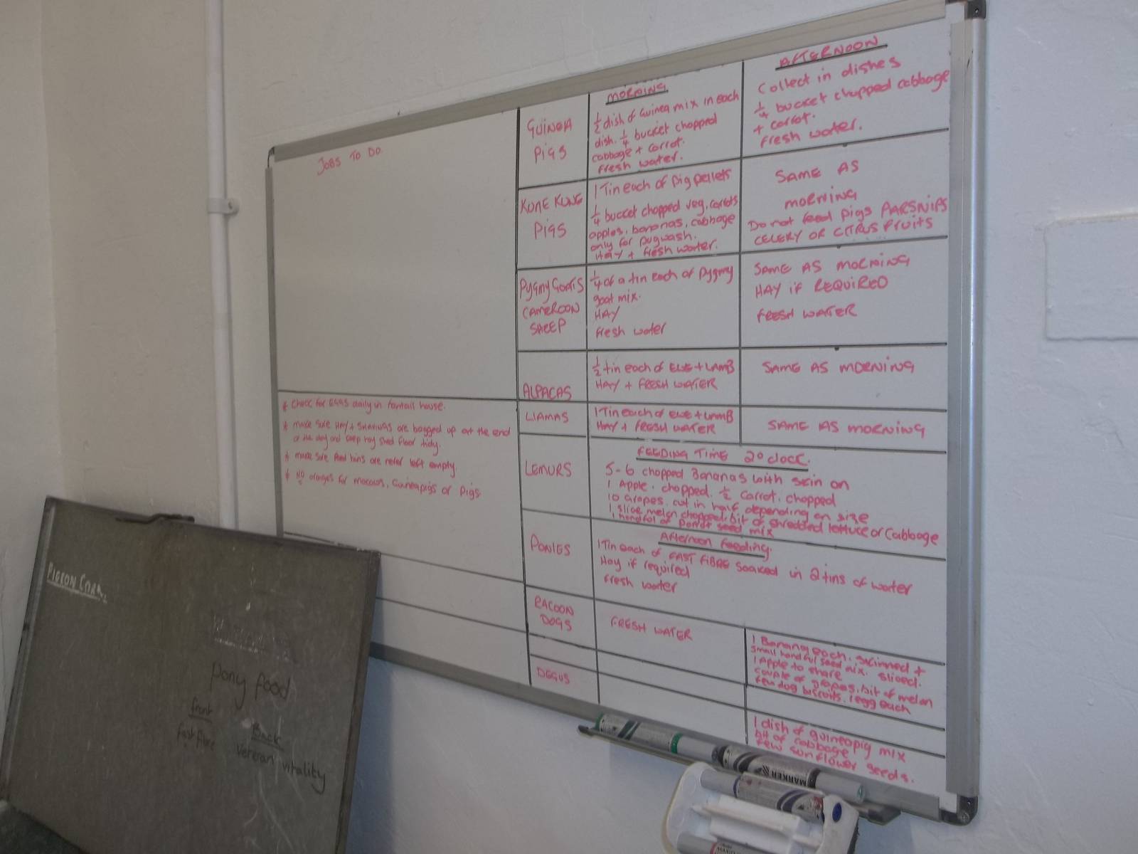 Feeding chart in zoo kitchen, 13th December 2014