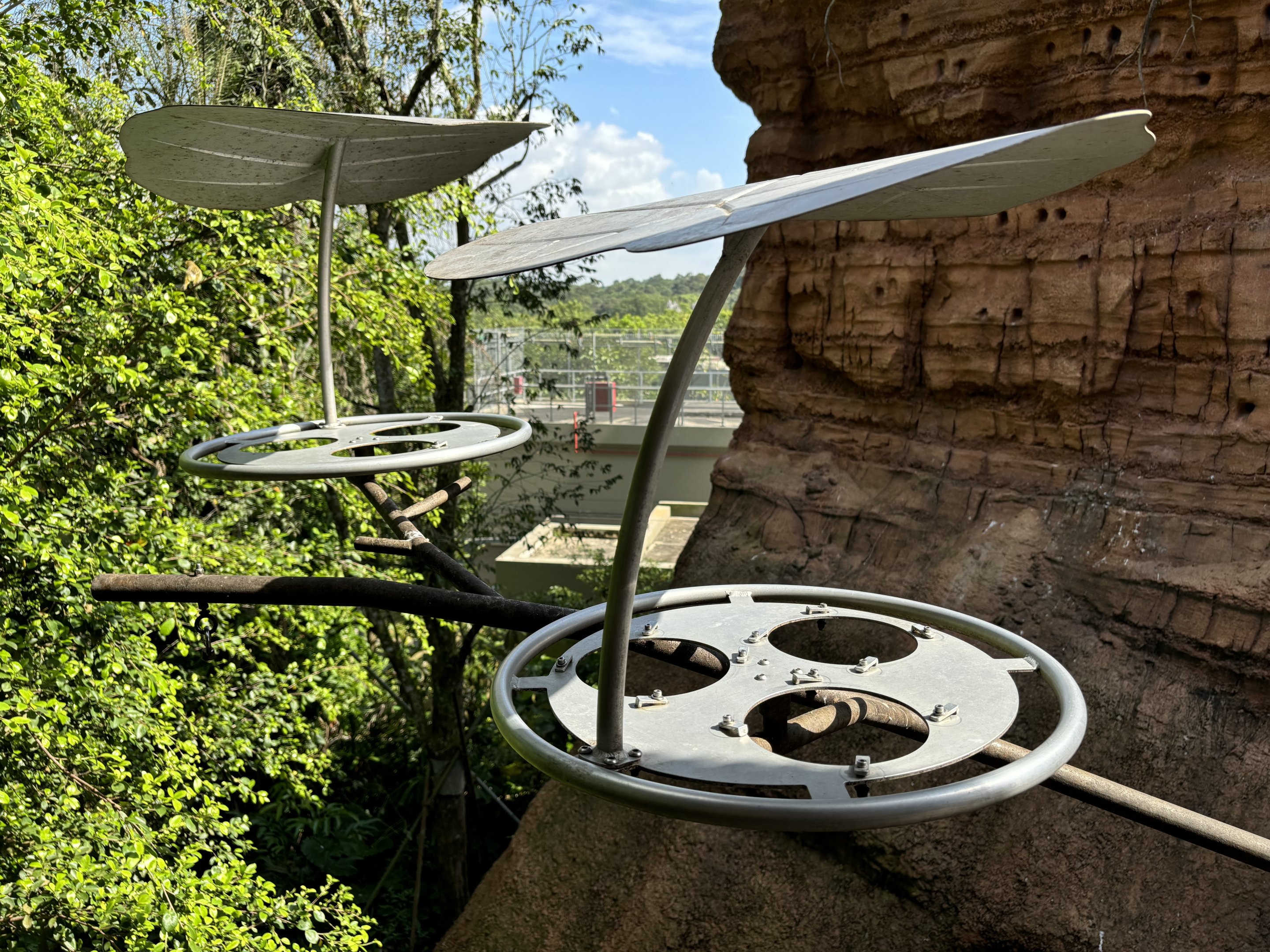 Feeding Dishes in 4-Acre Heart of Africa Aviary