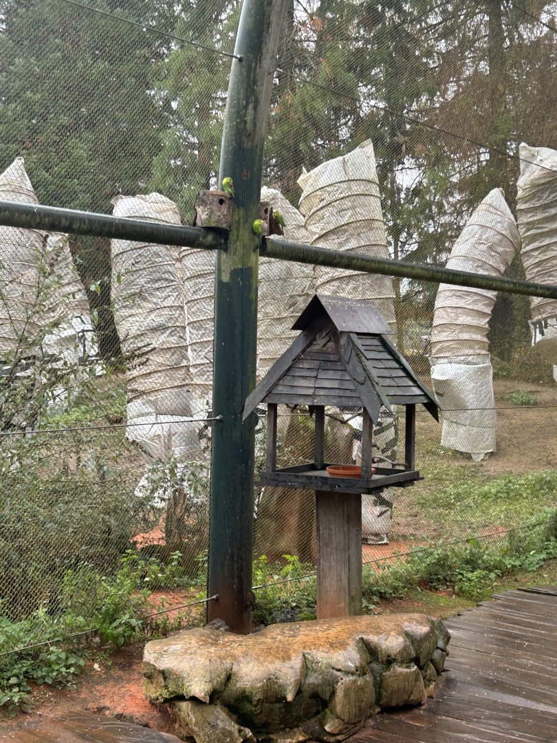 Feeding house at the Mura Mura aviary