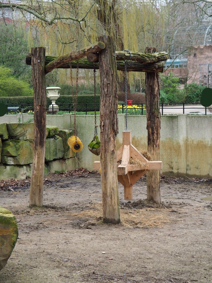 Feeding or enrichment stand for Grant's zebras and Southern white rhinos, 2024-02-17