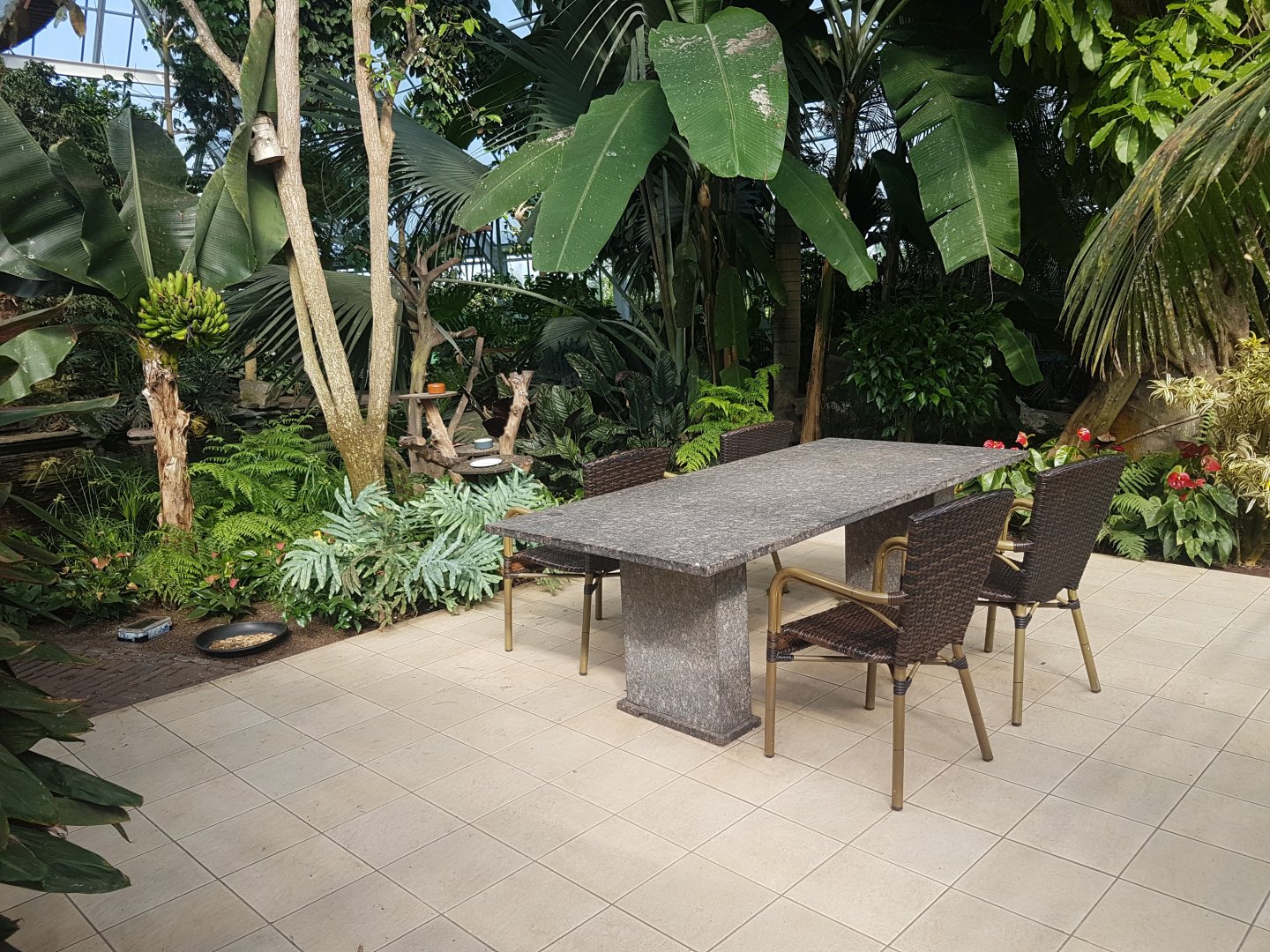 Feeding-place and feeding-place