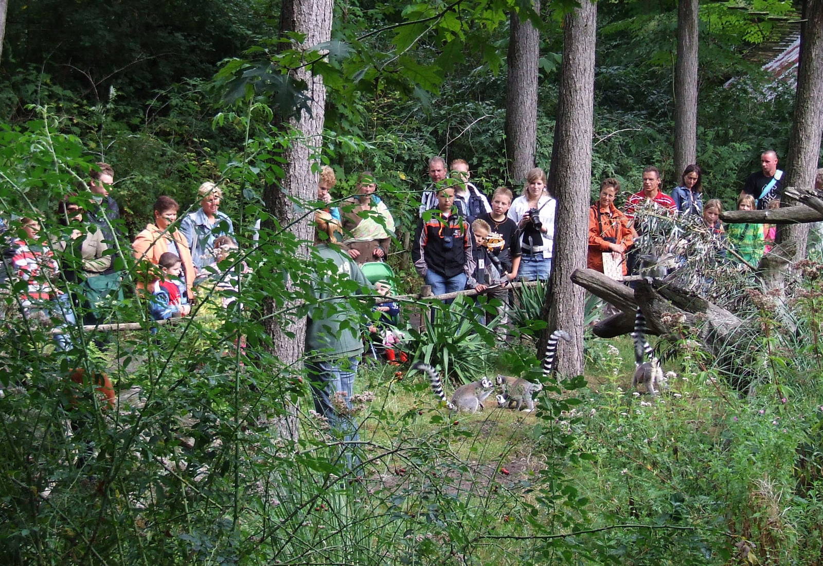 Feeding presentation, Madagascar