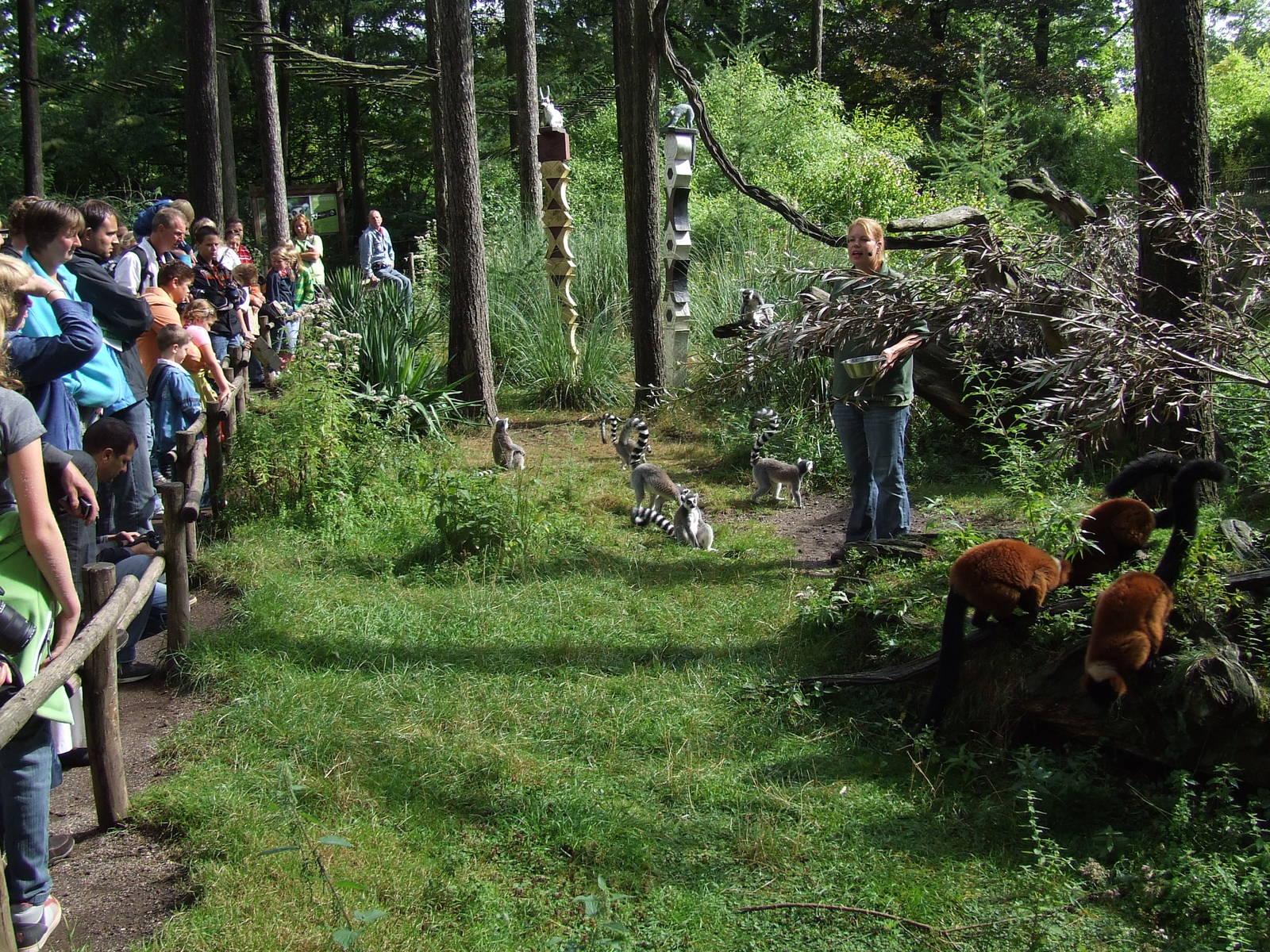 Feeding presentation, Madagascar