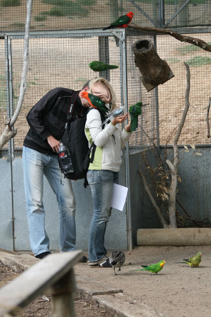 Feeding the Parrots in the Arid Walkthrough Aviary
