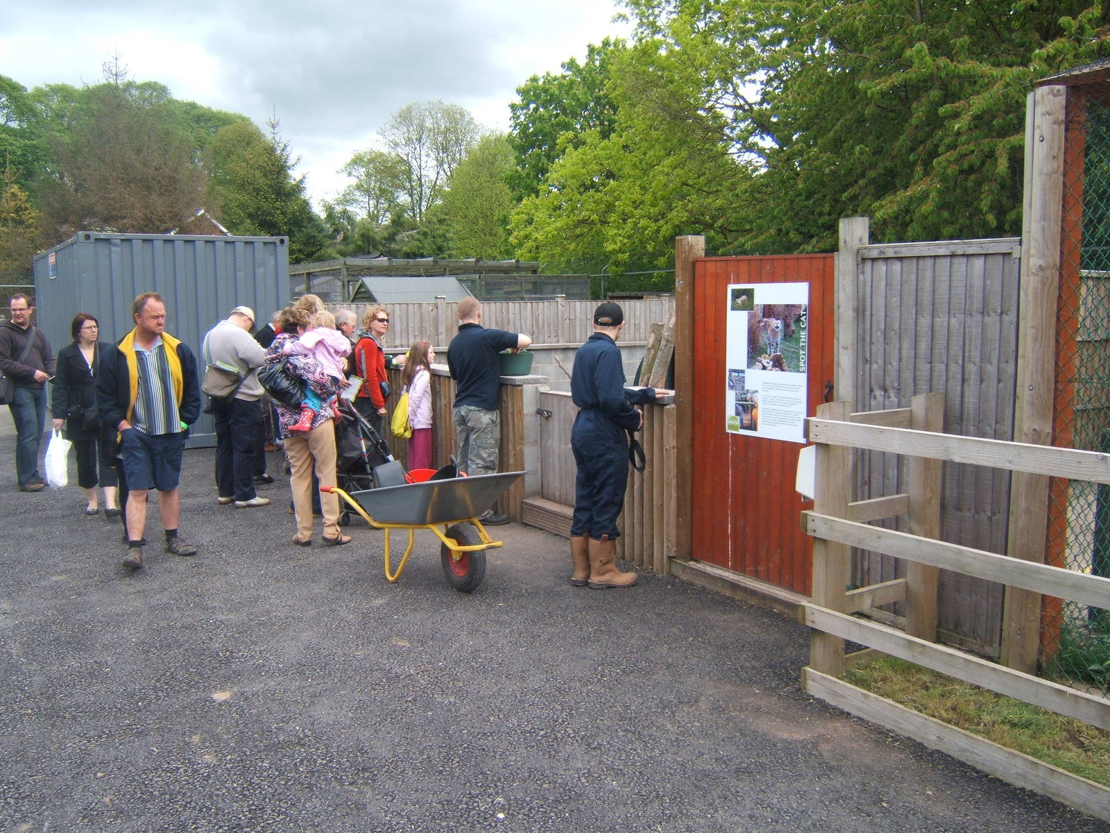 Feeding time for the Porcupine
