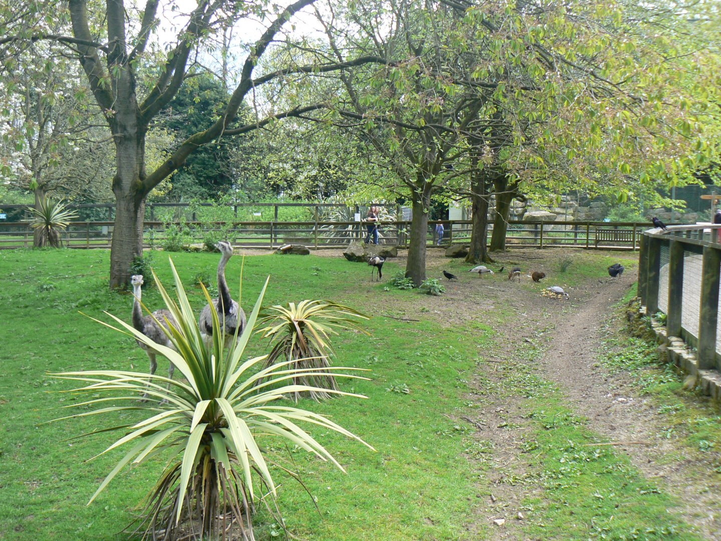 Feeding Time in one of the Pens - 23 April 2017