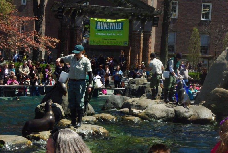 Feeding & training show