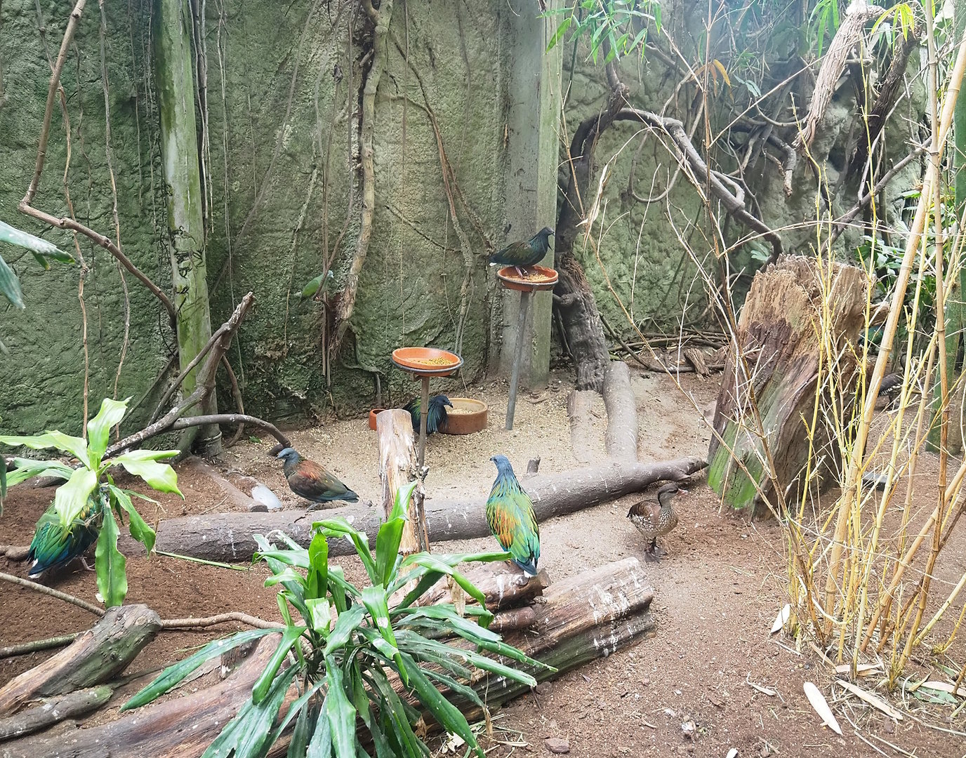 Feeding zone, 2022-08-28