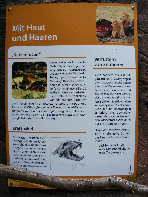 feeding zoo animals to big cats